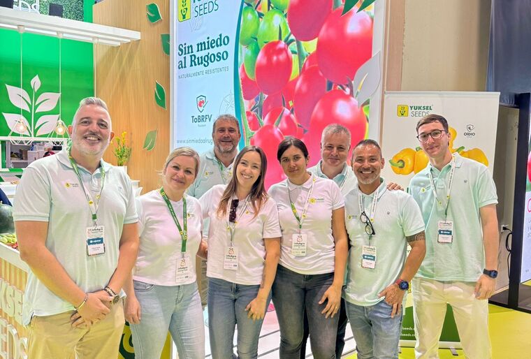 Nuevas variedades de tomate y pimiento california rojo. Infoagro 2025