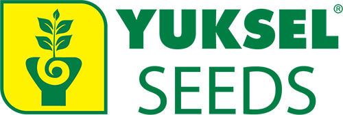 Yuksel Seeds